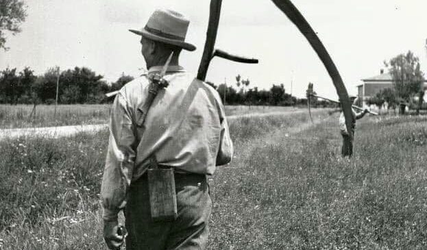 contadino