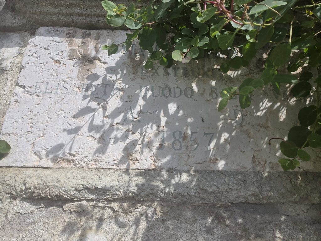 elisabettaduodo