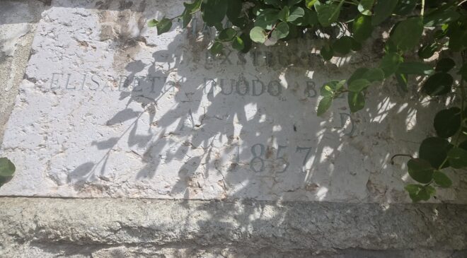 elisabettaduodo