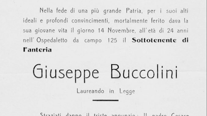 buccoliniw
