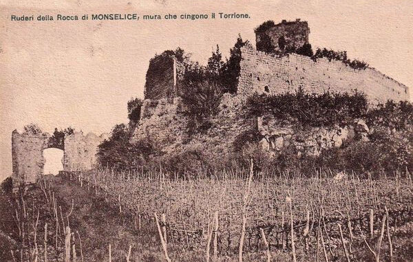 viti del cigni